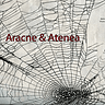 aracnesoftwareid