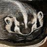 Ingrid Kallick