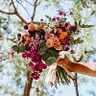 Viva Flores