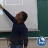Bio Pardal