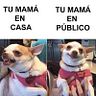 Shivers Chavez