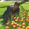 Liliane Marzolla Grando
