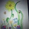 Julie Hutchinson