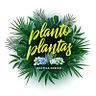Planto Plantas