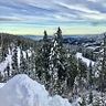 sheila_bourque