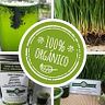 Wheatgrass Comestibles Orgánicos