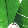 maria_hollyoake