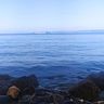 toghara83