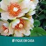 Maria De Lourdes Turim