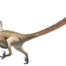 velociraptor_1
