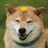 yisyuanengine