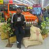 Diego Viera