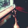 Claudia Isis Carpio Campos
