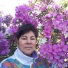 Cleusa Vargas da Silva