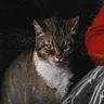 meow_art