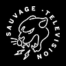 SAUVAGE.TV