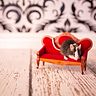 jealousmouse