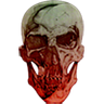wsoblivion