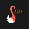 desing_soe