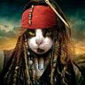 Paria Ronnin