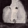 Jessica Mostert