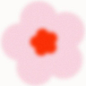 aregina1020