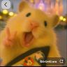 thaisvsoliveira1998