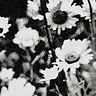 karmel_19