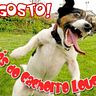 juangglldd