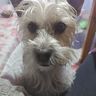 lucreciabeatriz