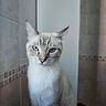saradalbello97