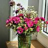 krystyna_gerc
