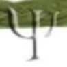 identificar logo 1