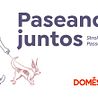Concurso: Paseando juntos 0