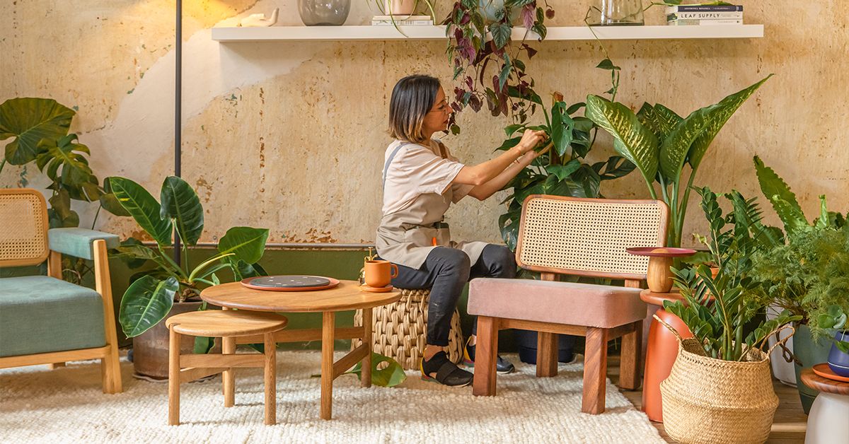 14 cursos online para aprender a decorar la casa con plantas