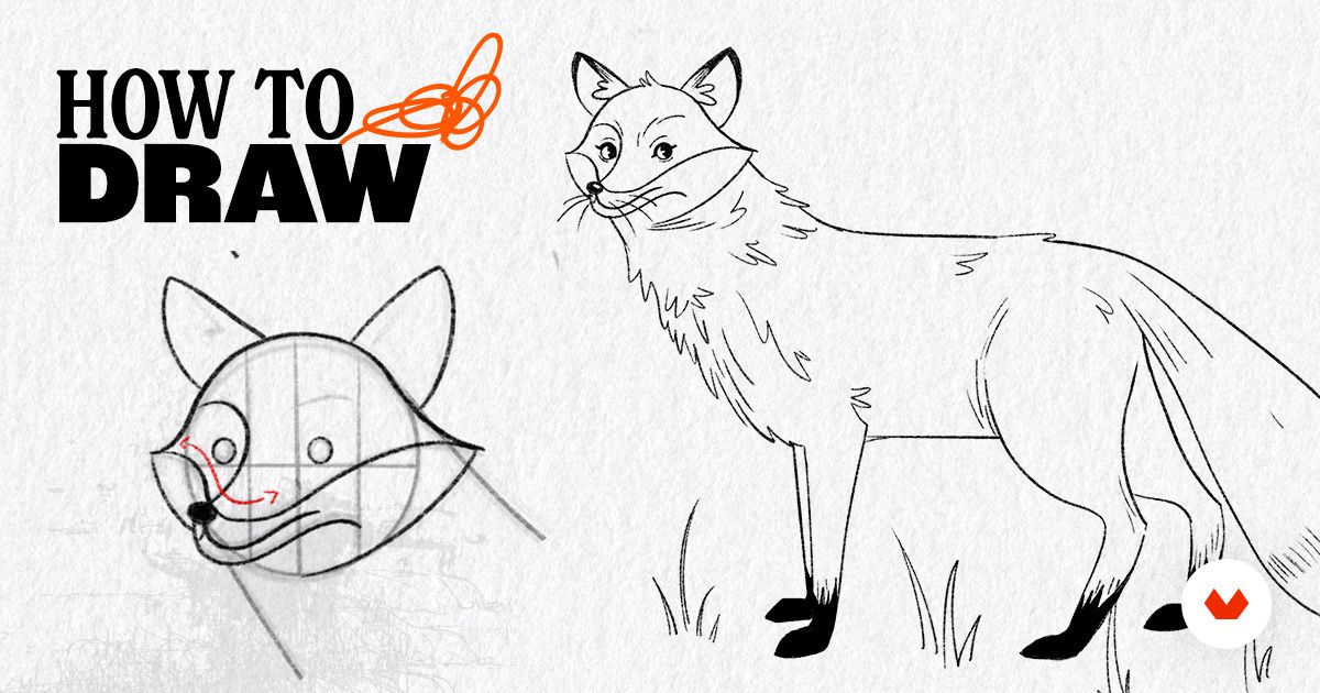 How to Draw a Fox Step by Step | Domestika