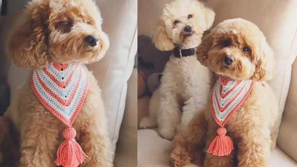 Crochet Tutorial: crochet a bandana for yourself or your pet