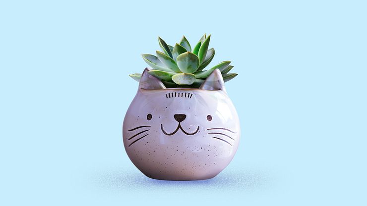 Ceramics: Shape, mold and create