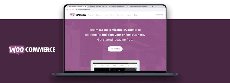 Creation of an Online WordPress Store