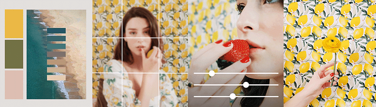 Fotografia e video professionale con il tuo cellulare