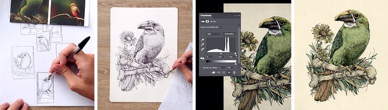 Naturalist Illustration with Ballpoint Pen 