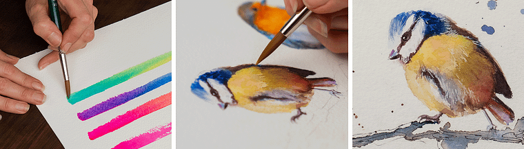 Techniques artistiques d'aquarelle pour illustrer les oiseaux