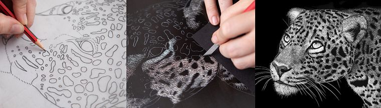 Naturalistische Illustration mit Scratchboard