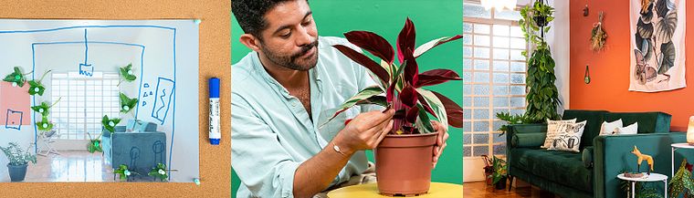 Expressive Decoration with Indoor Plants
