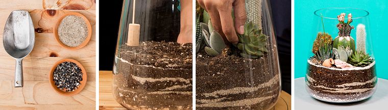 Pflanzenkunst: Gestalte ein offenes Terrarium