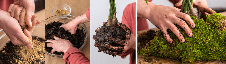 Kokedama: forme natürliche Moosbälle