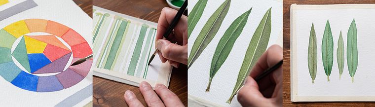 Disegno botanico realistico ad acquerello