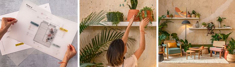 Design de interiores com plantas do zero