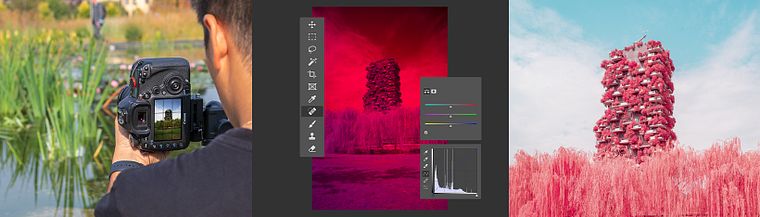 Infrared Photography: Capture the World of the Invisible