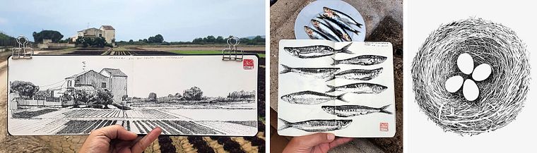 Illustrated Diary: Fill Your Sketchbook with Experiences